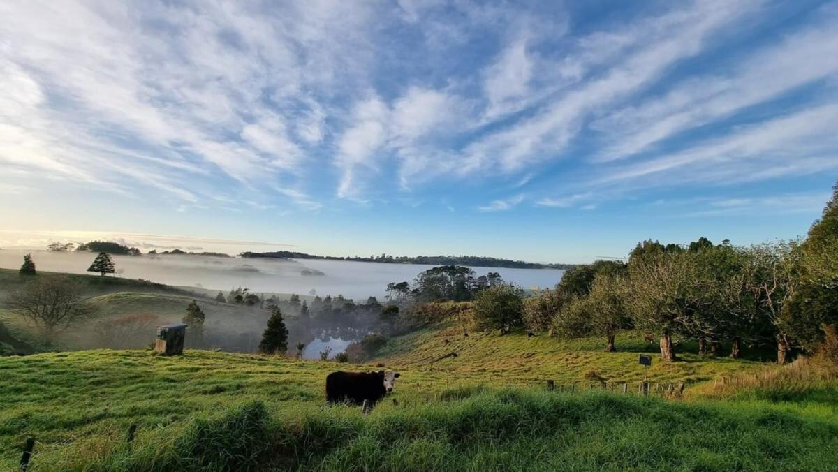 The Kauri Getaway By Tiny Away Villa Waitoki Eksteriør billede